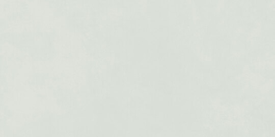 Керамогранит Global Tile Мечта Мятный 50x100 см GT5010026717MR