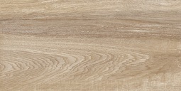 Настенная плитка Alma Ceramica Эйфория 24,9x50 см TWU2550EPH40